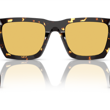 Gafas Prada PRA06S-16O10C