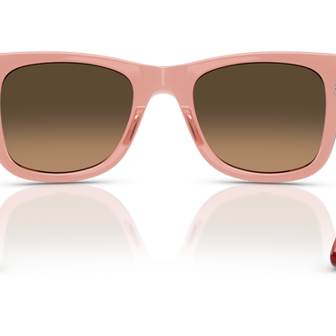 Gafas Ray-Ban Mega Wayfarer RB0840S-684843