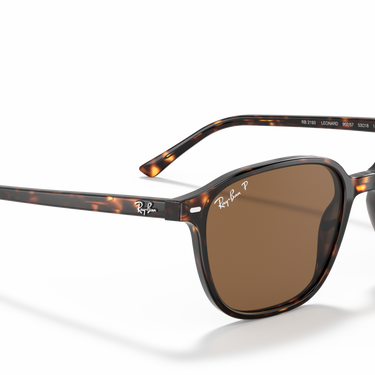 Gafas Ray-Ban Leonard RB2193-902/57