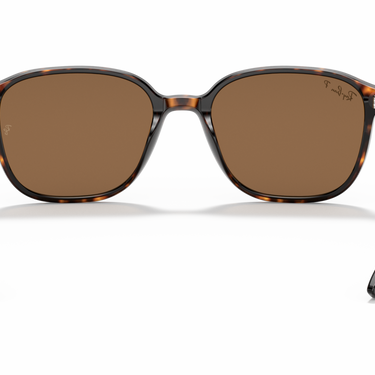 Gafas Ray-Ban Leonard RB2193-902/57