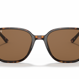 Gafas Ray-Ban Leonard RB2193-902/57