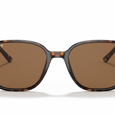 Gafas Ray-Ban Leonard RB2193-902/57