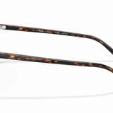 Gafas Ray-Ban Leonard RB2193-902/57