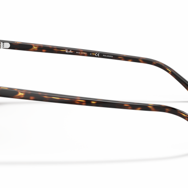 Gafas Ray-Ban Leonard RB2193-902/57