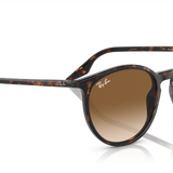 Gafas Ray-Ban RB2204-902/51