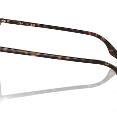 Gafas Ray-Ban RB2204-902/51