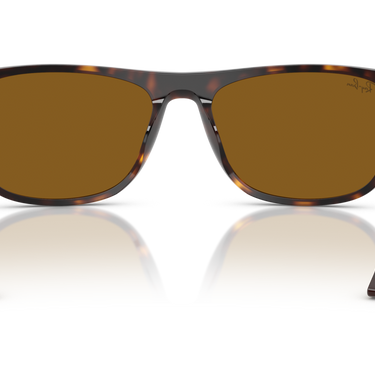 Gafas Ray-Ban RB2216-902/33