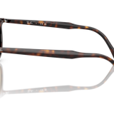 Gafas Ray-Ban RB2216-902/33