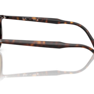 Gafas Ray-Ban RB2216-902/33