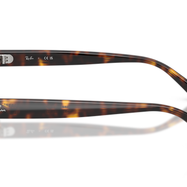 Gafas Ray-Ban RB2223-902/B1