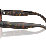 Gafas Ray-Ban RB2233-710/1B