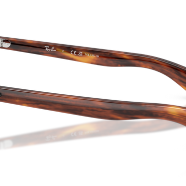 Gafas Ray-Ban Brunel RB2234-954/3R