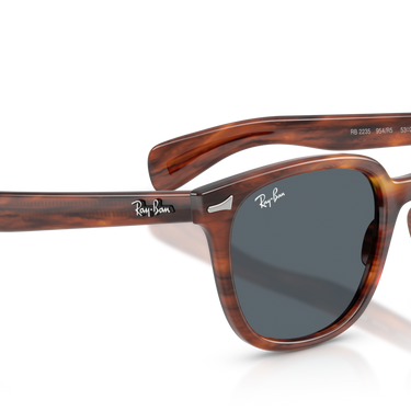 Gafas Ray-Ban Brunel II RB2235-954/R5