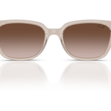 Gafas Ray-Ban RB2243D-682713