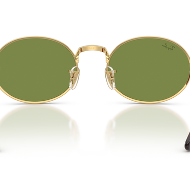 Gafas Ray-Ban RB3931-001/4E