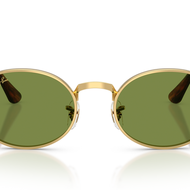 Gafas Ray-Ban RB3931-001/4E