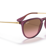 Gafas Ray-Ban Erika Classic RB4171-659114