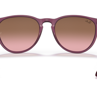 Gafas Ray-Ban Erika Classic RB4171-659114