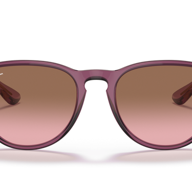 Gafas Ray-Ban Erika Classic RB4171-659114