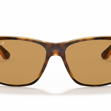 Gafas Ray-Ban RB4181-710/83