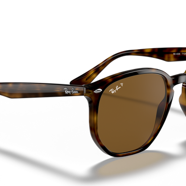 Gafas Ray-Ban RB4306-710/83