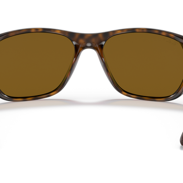 Gafas Ray-Ban RB4307-710/83