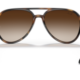Gafas Ray-Ban RB4376-710/13