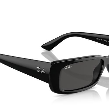Gafas Ray-Ban Teru RB4425-667787