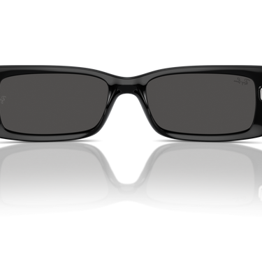 Gafas Ray-Ban Teru RB4425-667787