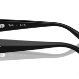 Gafas Ray-Ban Teru RB4425-667787