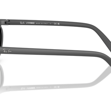 Gafas Ray-Ban Predator Liteforce RB4453-601711
