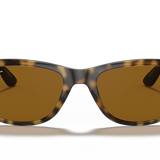Gafas Ray-Ban RB4640-710/33