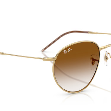 Gafas Ray-Ban Round Reverse RBR0103S-001/CB