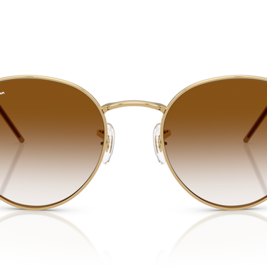 Gafas Ray-Ban Round Reverse RBR0103S-001/CB