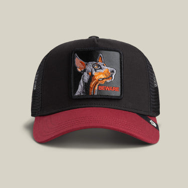Gorra Goorin Bros The Beware Dog Negra Vinotinto