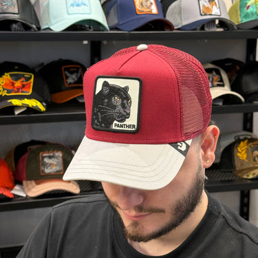 Foto real