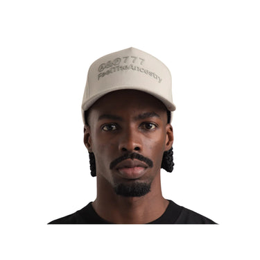 Gorra Ap Crown Ashen