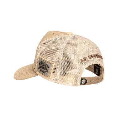GORRA AP CROWN SILENCE