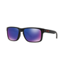 Gafas Oakley Holbrook OO9102L-3655