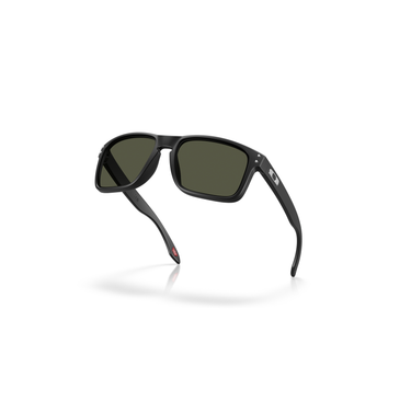 Gafas Oakley Holbrook OO9102L-U755