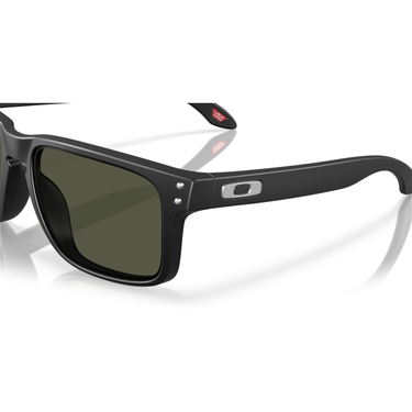 Gafas Oakley Holbrook OO9102L-U755