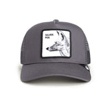 Gorra Goorin Bros Silver Foxxx Oil
