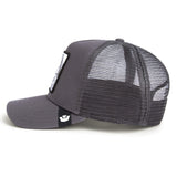 Gorra Goorin Bros Silver Foxxx Oil