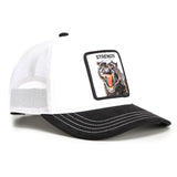 Gorra Goorin Bros Suede Panther Digital Void