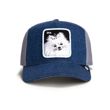 Gorra Goorin Bros Diva Dawg Denim Claro