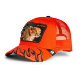 Gorra Goorin Bros Blazing Flames Blaze