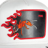 Gorra Goorin Bros Fire Flames Digital