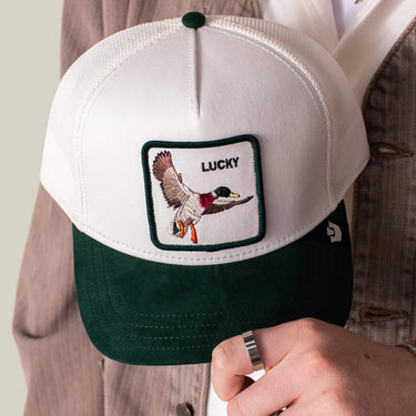 Gorra Goorin Bros Suede Duck Dust Guard