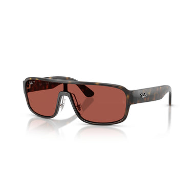 Gafas Ray-Ban RB2233-710/1B