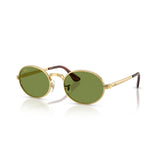 Gafas Ray-Ban RB3931-001/4E